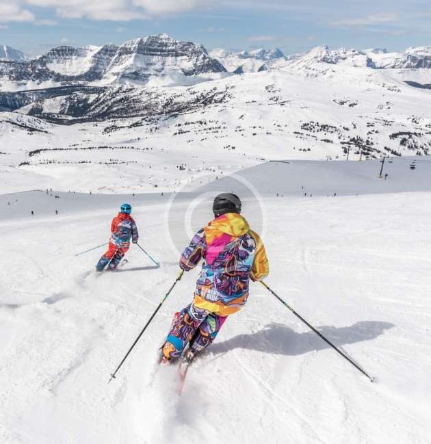 snow-img-copyright-12